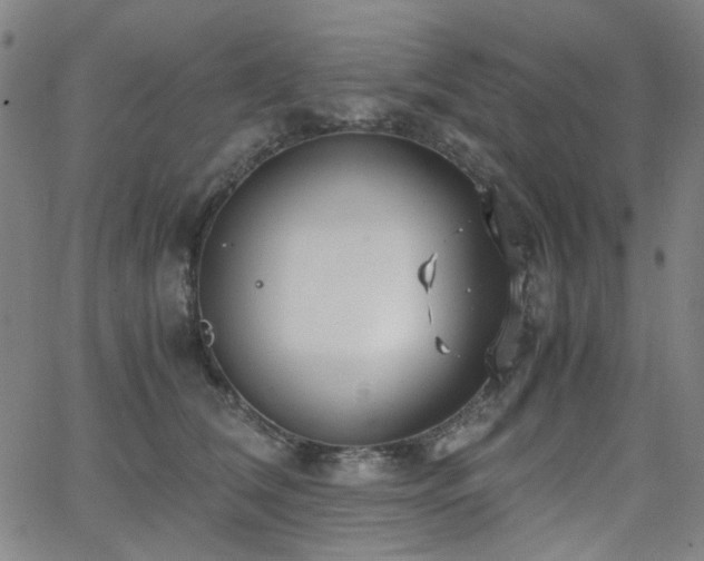 X0000063520612200601201435