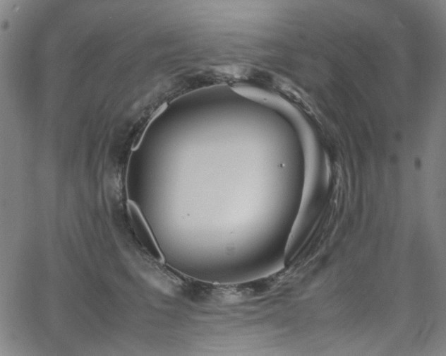 X0000063520613200601201435