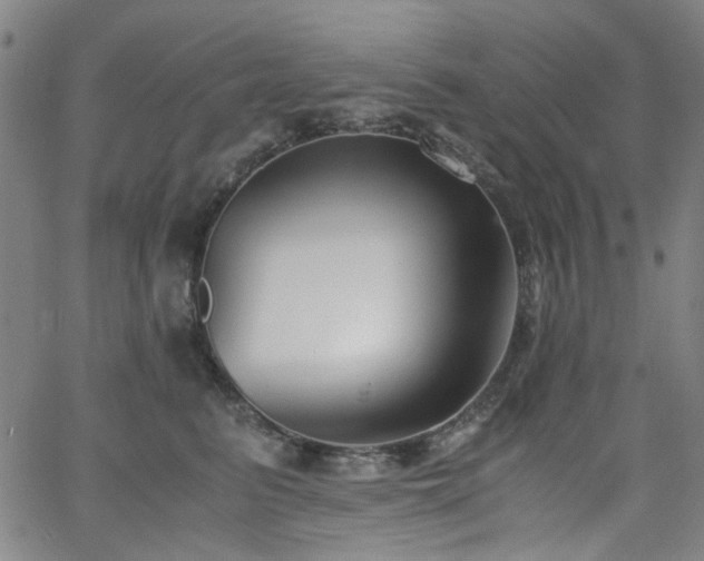 X0000063520615200601201434