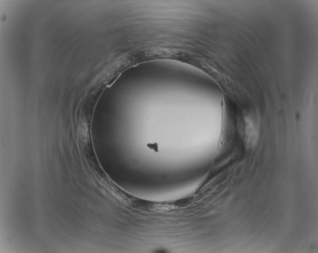 X0000063520617200601201434