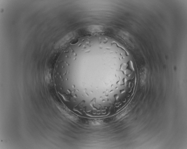 X0000063520618200601201434