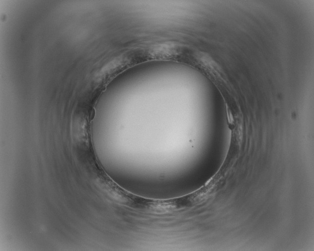 X0000063520619200601201434