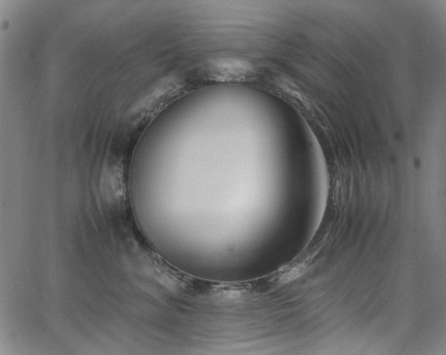 X0000063520620200601201434