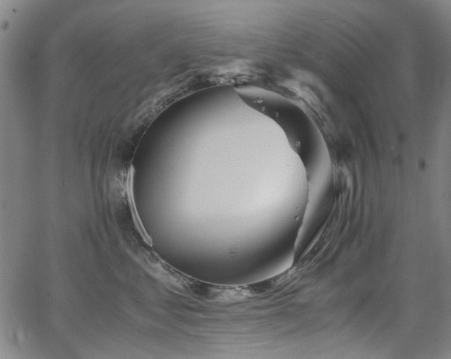 X0000063520621200601201434