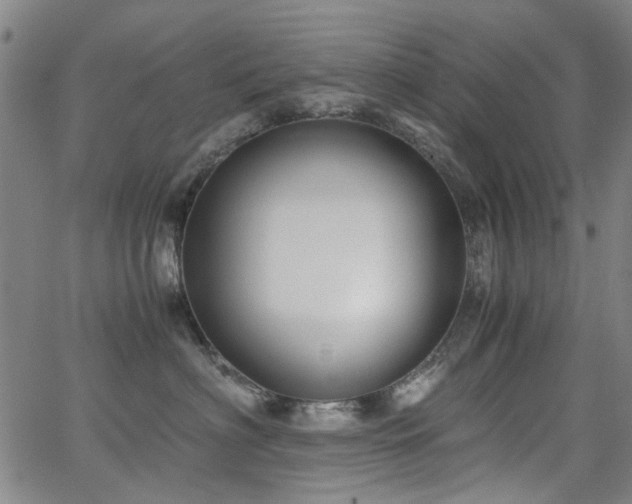 X0000063520622200601201434