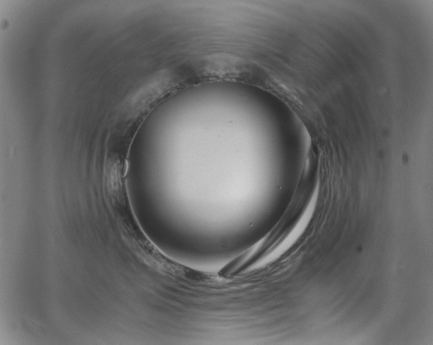 X0000063520623200601201434