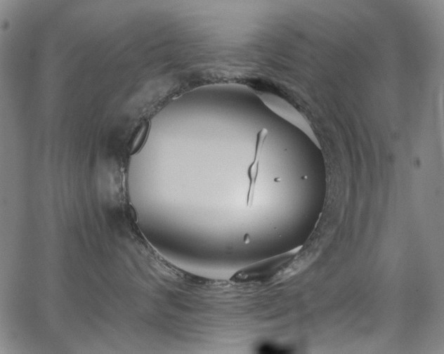 X0000063520624200601201434