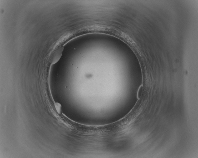 X0000063520625200601201434