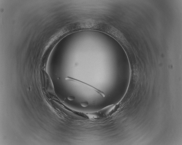 X0000063520626200601201434