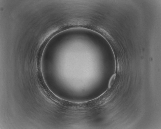 X0000063520627200601201434