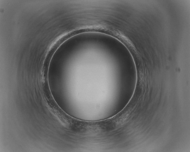 X0000063520628200601201434