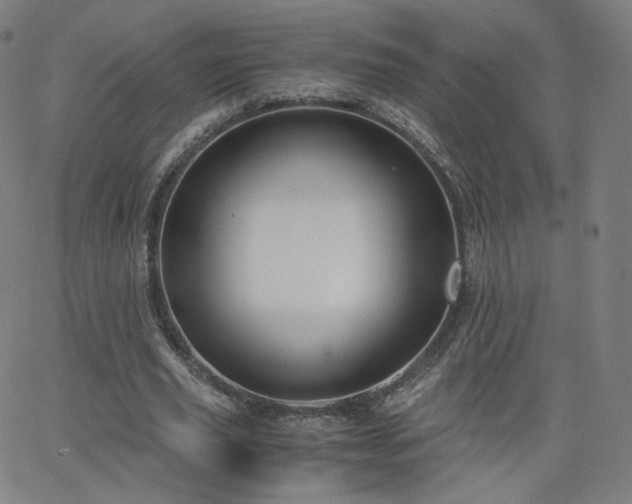 X0000063520629200601201434