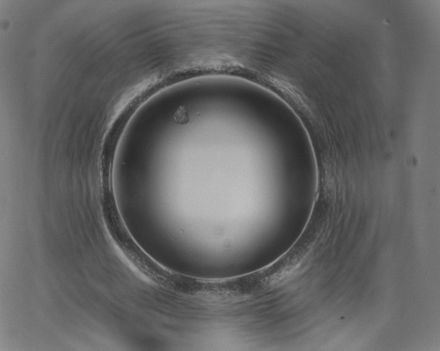 X0000063520630200601201434