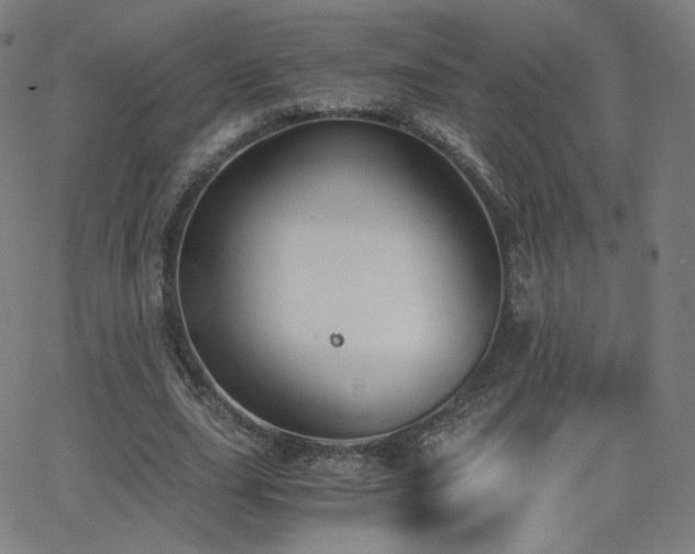 X0000063520631200601201434