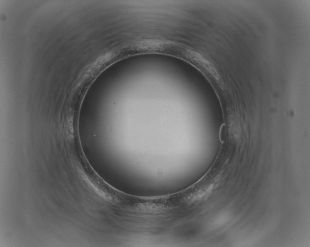 X0000063520633200601201434