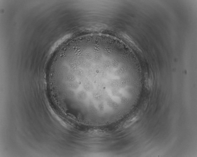 X0000063520634200601201434