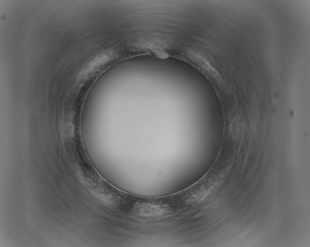 X0000063520635200601201434