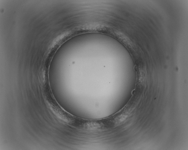 X0000063520636200601201434