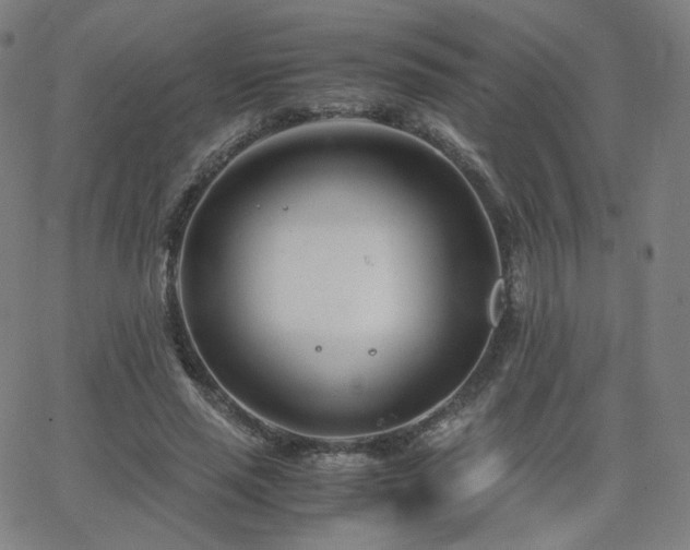 X0000063520637200601201434