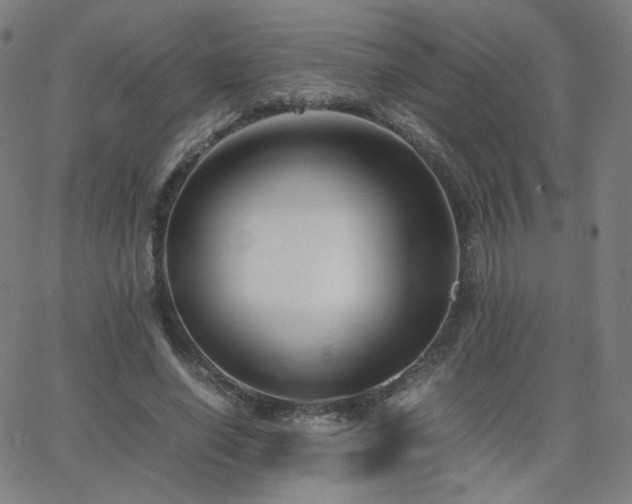 X0000063520638200601201434