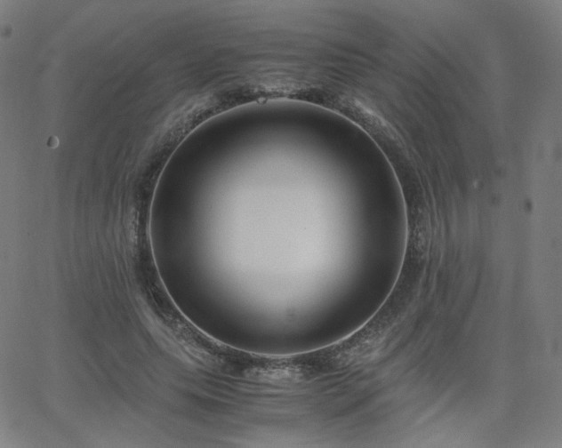 X0000063520639200601201434