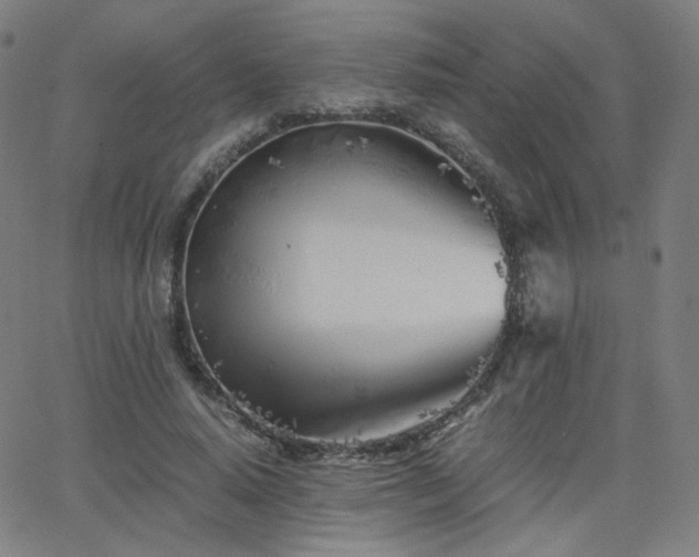 X0000063520640200601201434