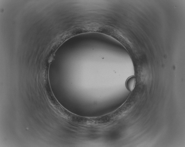 X0000063520641200601201434