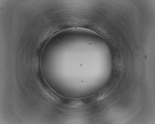 X0000063520642200601201434