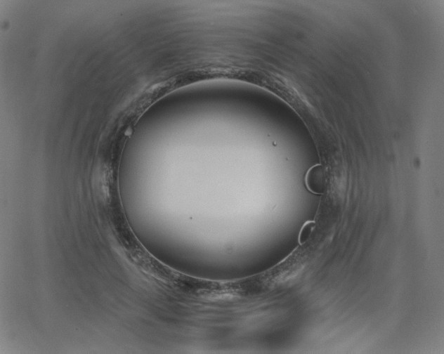 X0000063520643200601201434