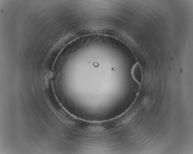 X0000063520644200601201434