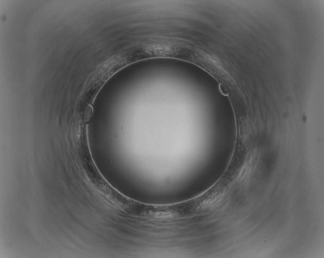 X0000063520645200601201434