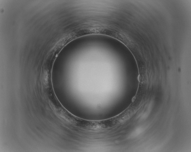 X0000063520646200601201434