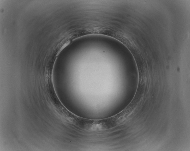 X0000063520647200601201434