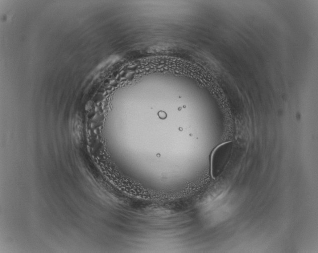 X0000063520648200601201434