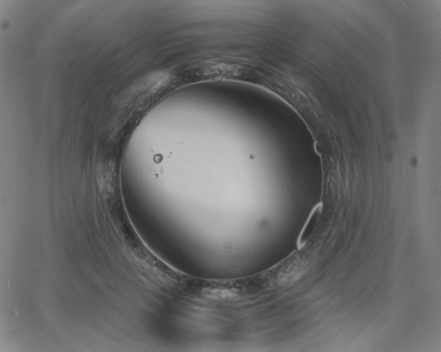 X0000063520649200601201434