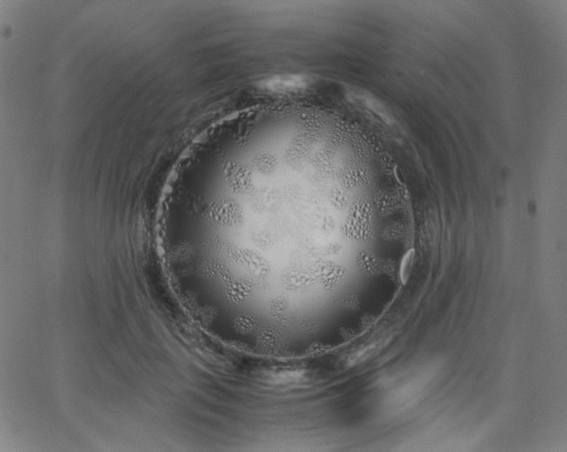 X0000063520651200601201434