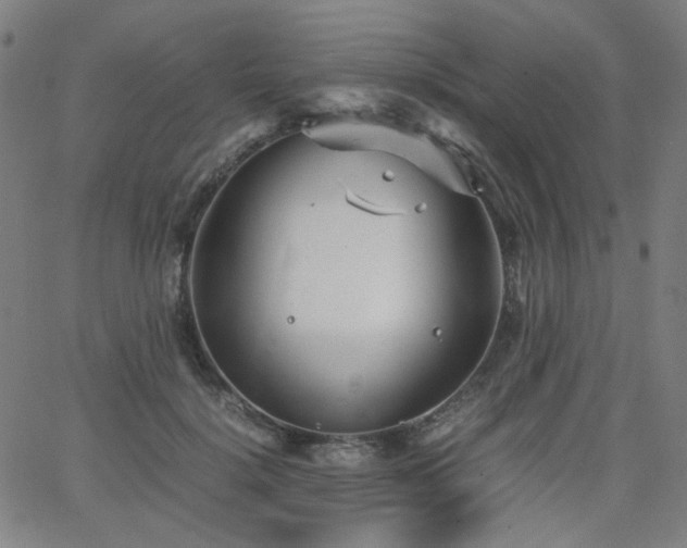 X0000063520652200601201434