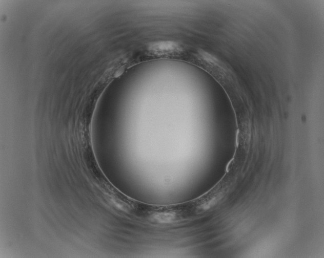 X0000063520653200601201434