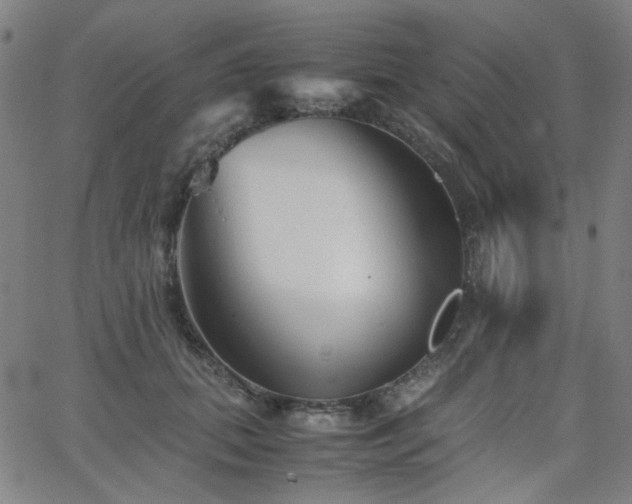 X0000063520655200601201434