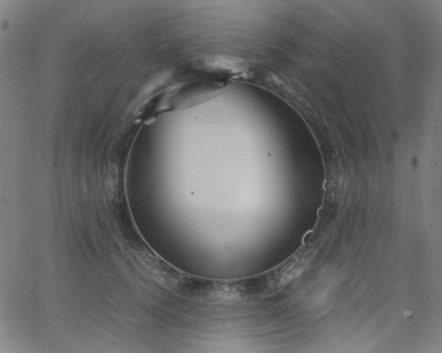 X0000063520656200601201434