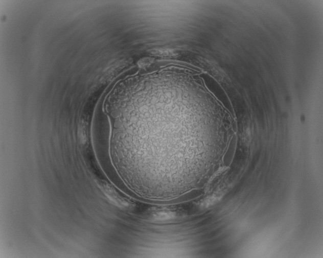 X0000063520658200601201434