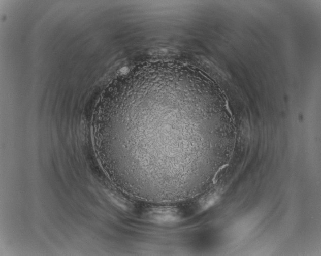 X0000063520659200601201434