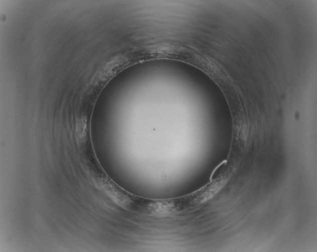 X0000063520660200601201434