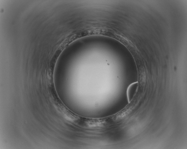 X0000063520661200601201434