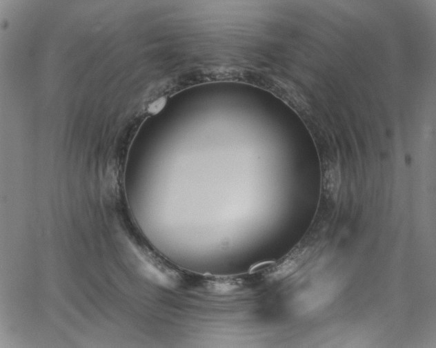 X0000063520662200601201434