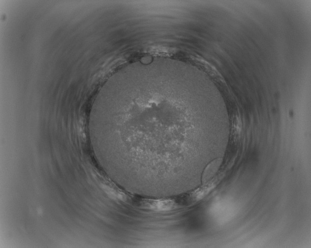 X0000063520663200601201434