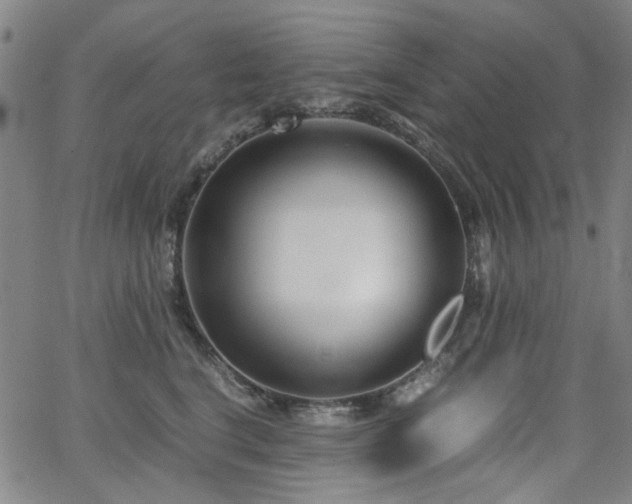 X0000063520664200601201434