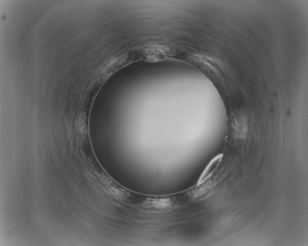 X0000063520665200601201434