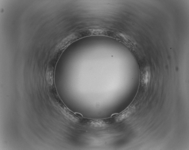 X0000063520666200601201434