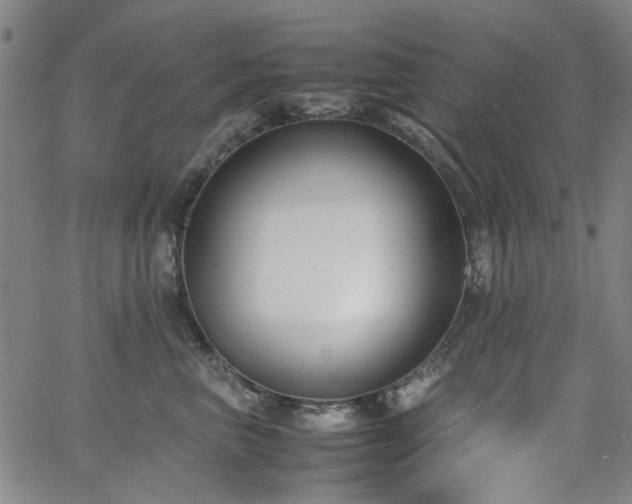 X0000063520667200601201434